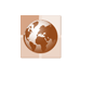 global education logo 